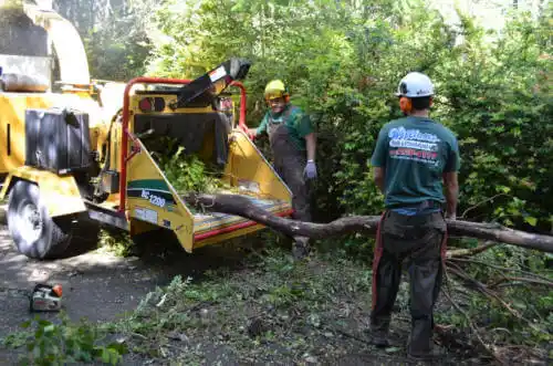 tree services Newark